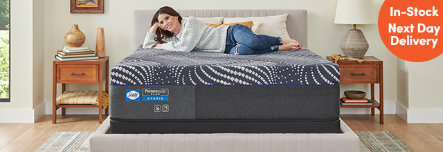 Mancini Sleepword Banner